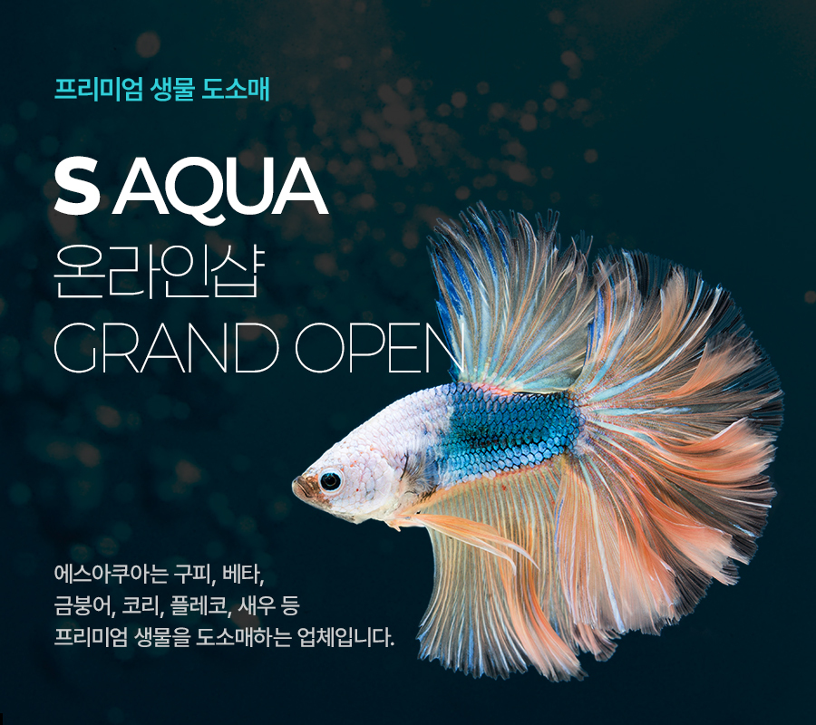 모바일 배너