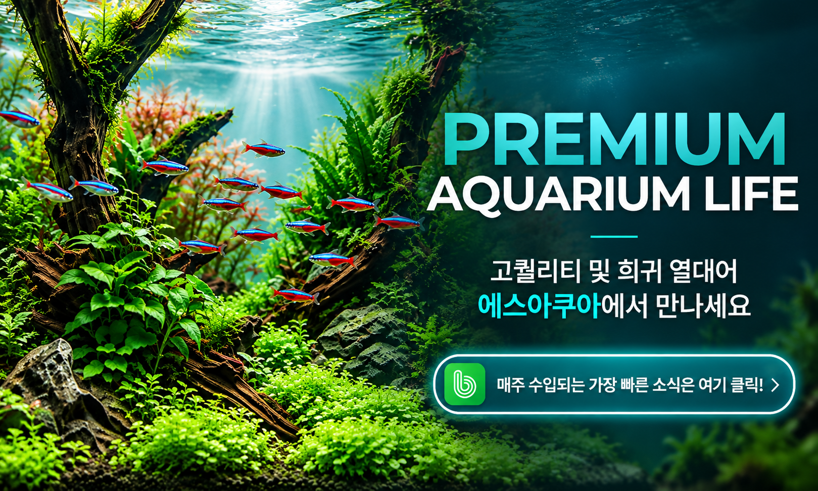 모바일 배너1