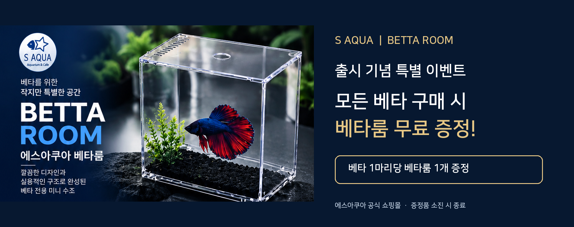베타룸1