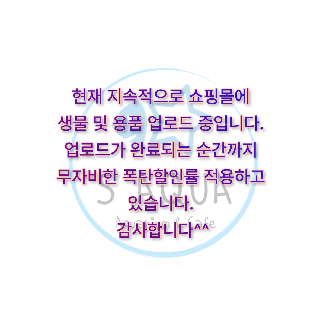 0cc749292ed2c1ea782fff5ae9acdc2a_1755110984_6742.png 0cc749292ed2c1ea782fff5ae9acdc2a_1755110984_6742.png