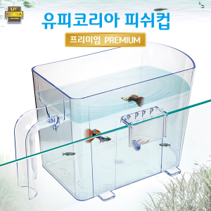 피쉬컵 프리미엄 1개
